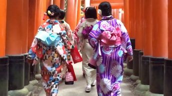 kyoto geisha Fushimi Inari torii