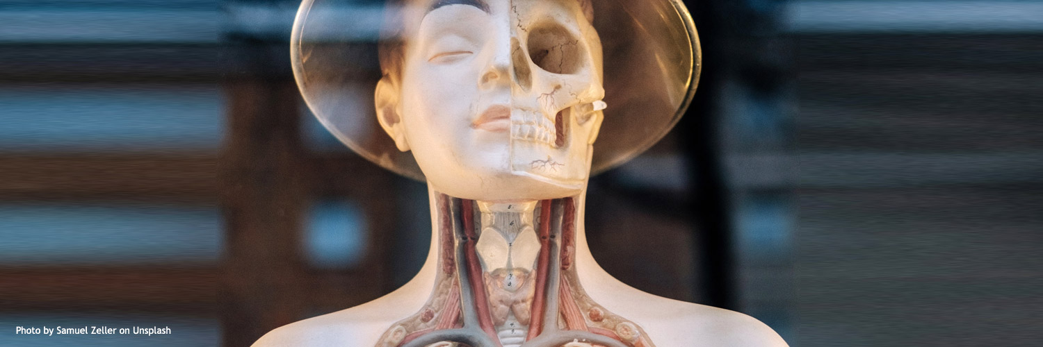 squelette et visage avec un chapeau chinois